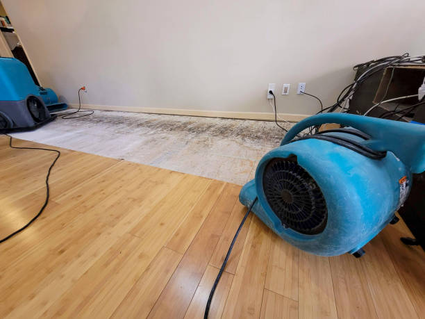 Professional Basement Flood Cleanup technician working in Earlimart, CA